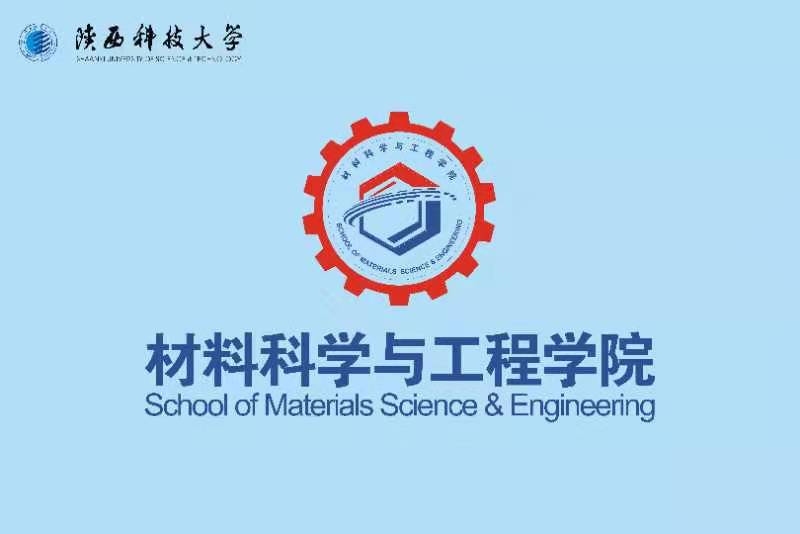 国际学院院旗设计图片